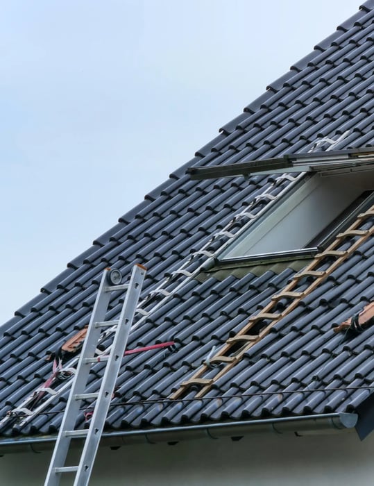 Roof Ladder