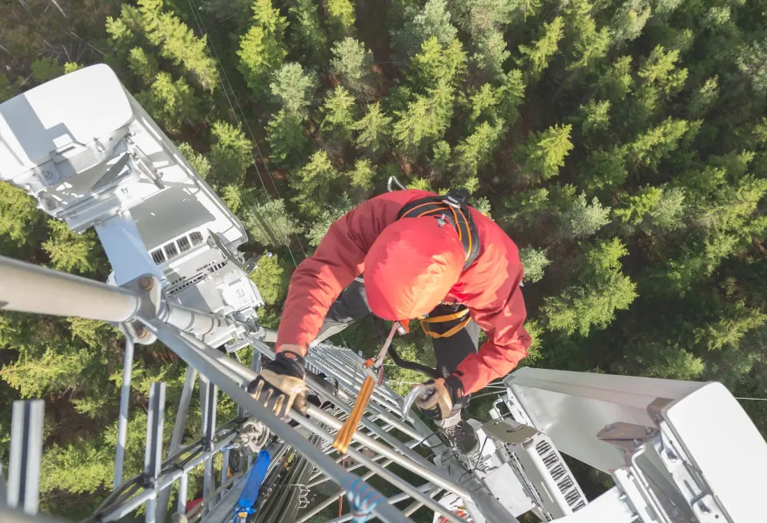An image of someone on a ladder high in the air.